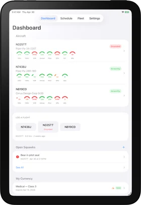 TieDown Dashboard on iPad mini